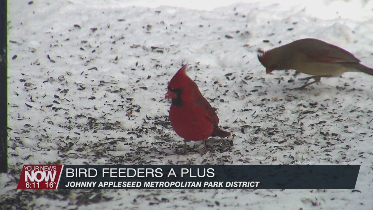 Snow covered ground limits food for birds - bird feeders give them a little help